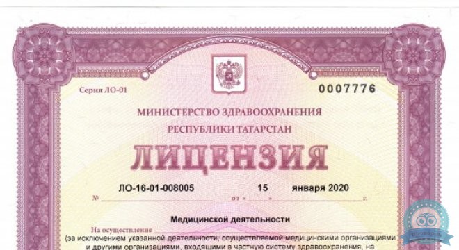 ФлебоЭстетика